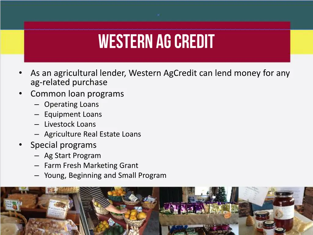 as an agricultural lender western agcredit