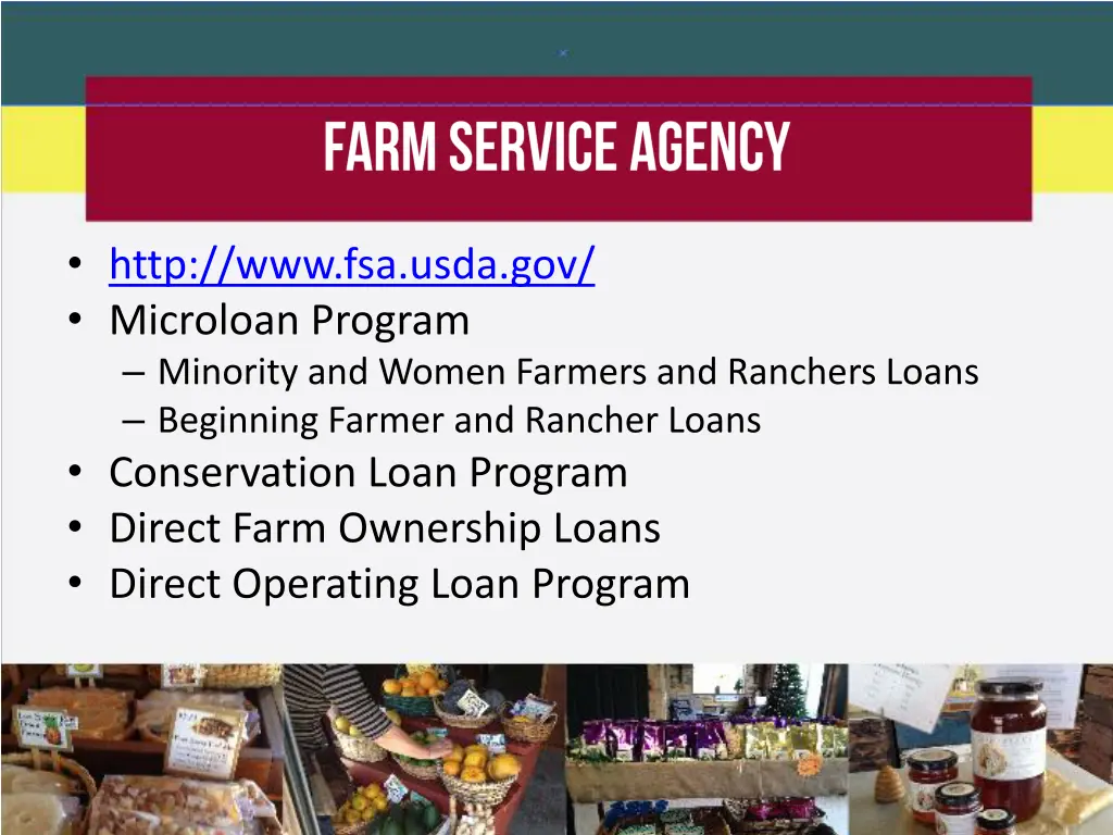 http www fsa usda gov microloan program minority