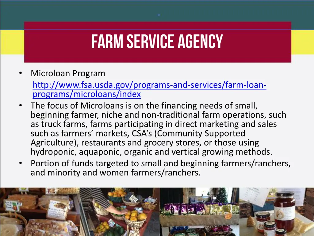 microloan program http www fsa usda gov programs