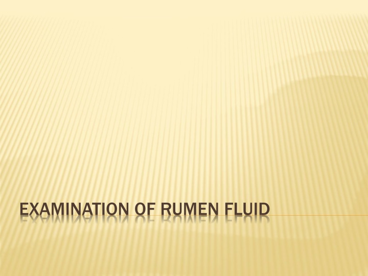 examination of rumen fluid