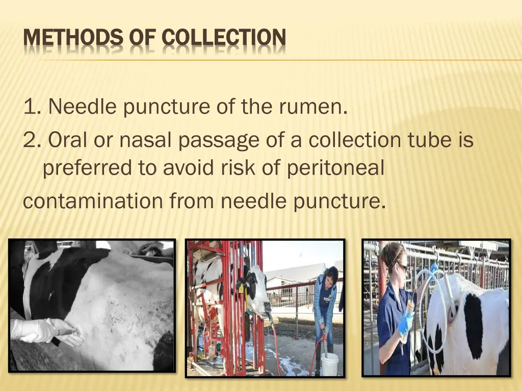 methods of collection methods of collection