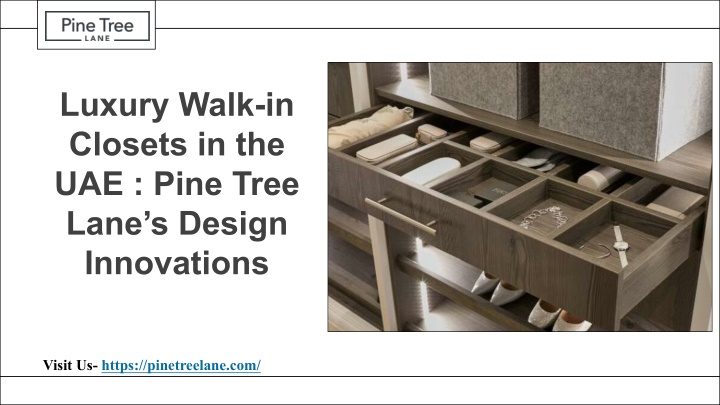 luxury walk in closets in the uae pine tree lane