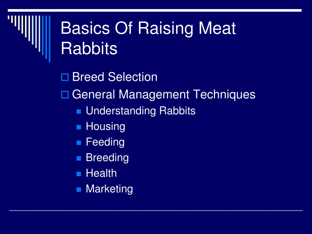 basics of raising meat rabbits