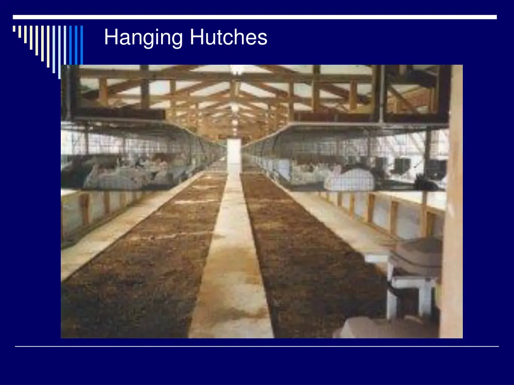 hanging hutches