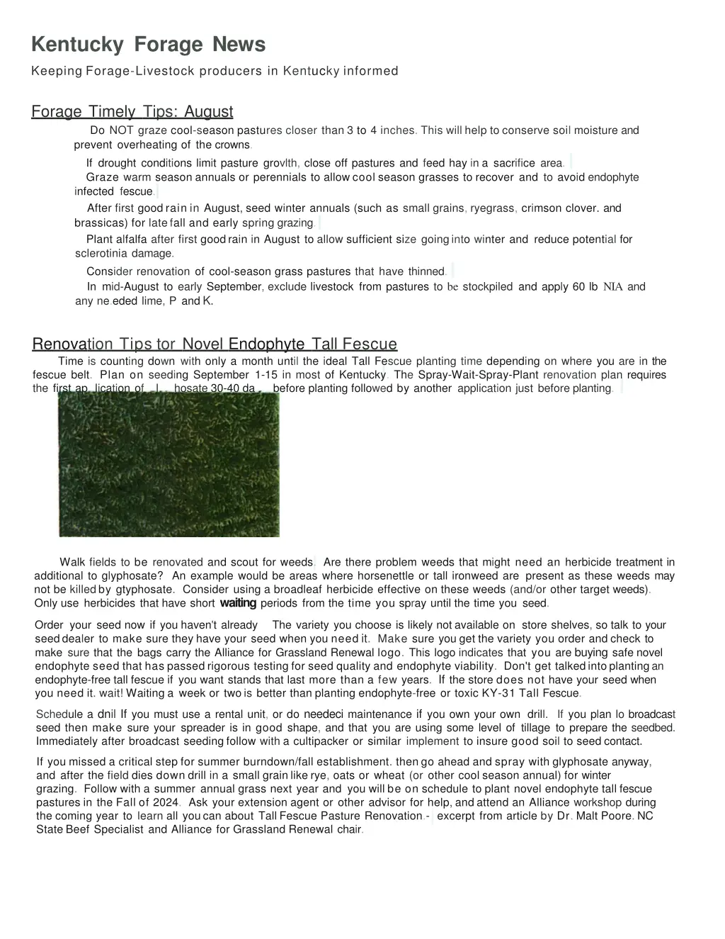 kentucky forage news