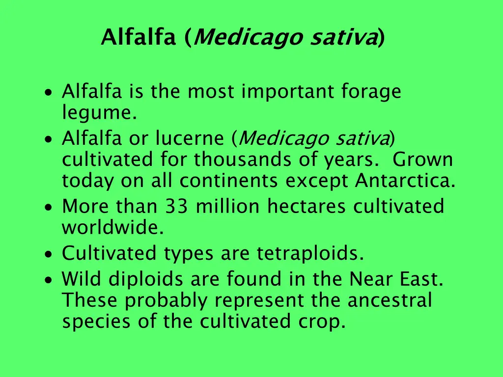 alfalfa medicago sativa