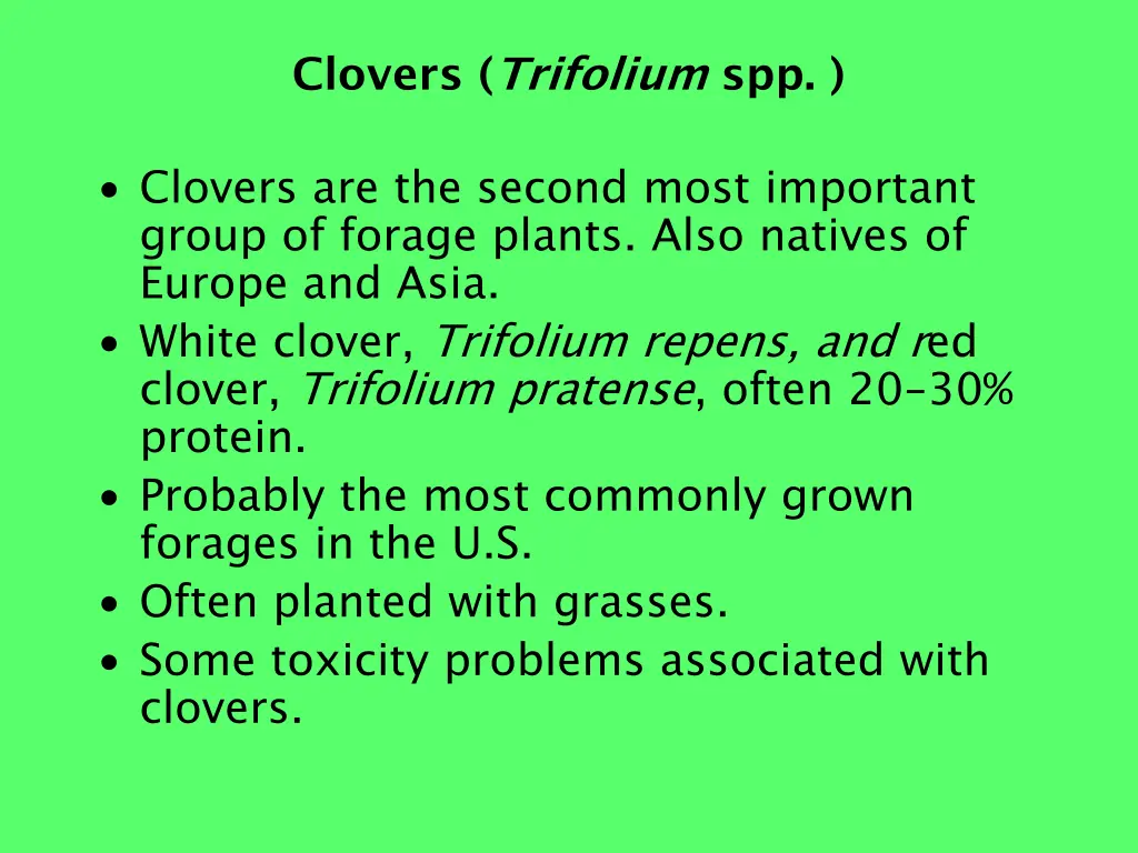 clovers trifolium spp