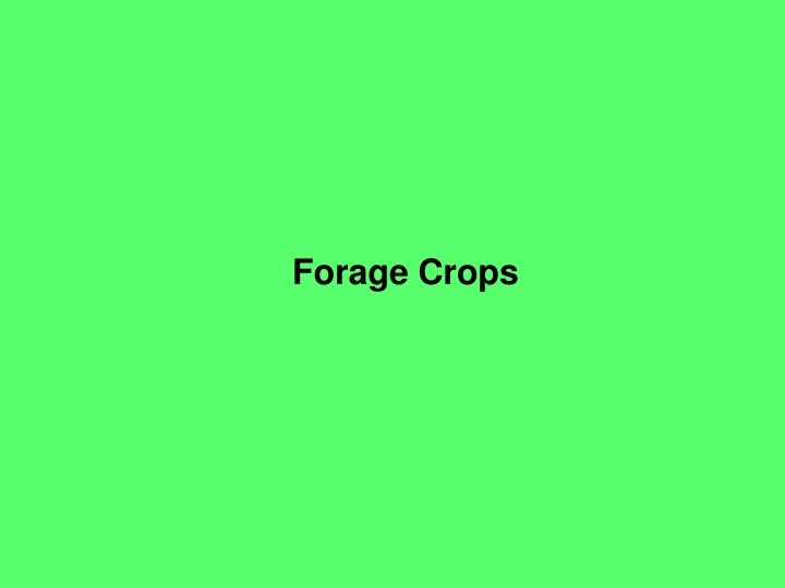 forage crops