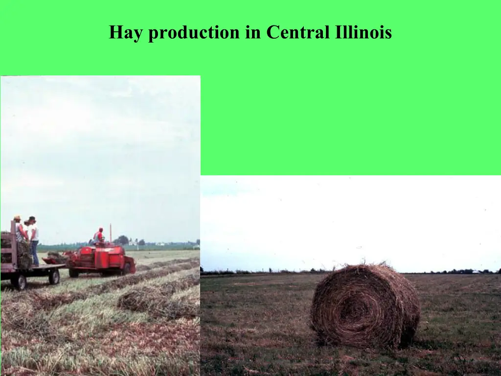 hay production in central illinois