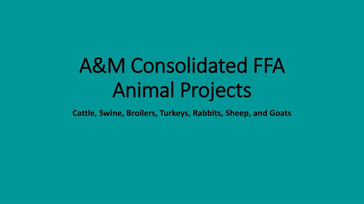 a m consolidated ffa a m consolidated ffa animal