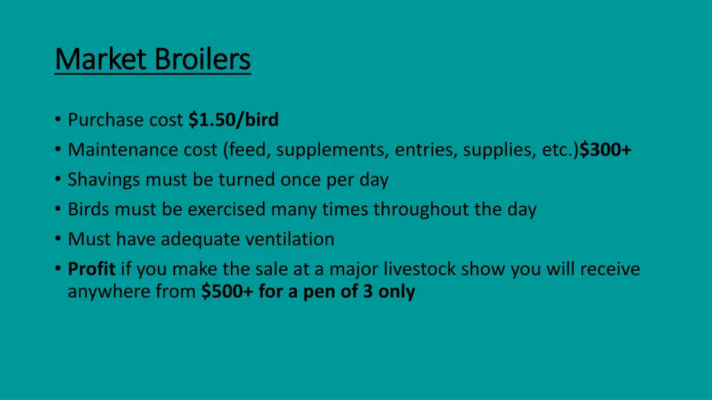 market broilers market broilers 1