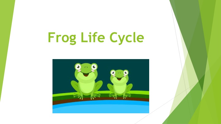 frog life cycle