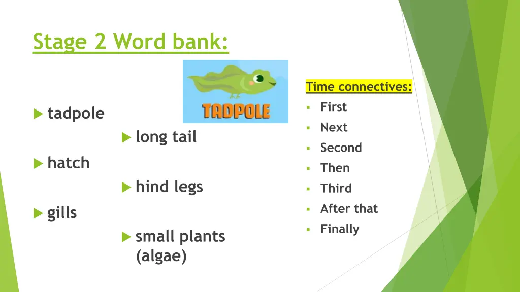 stage 2 word bank