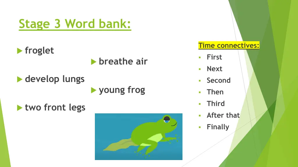 stage 3 word bank