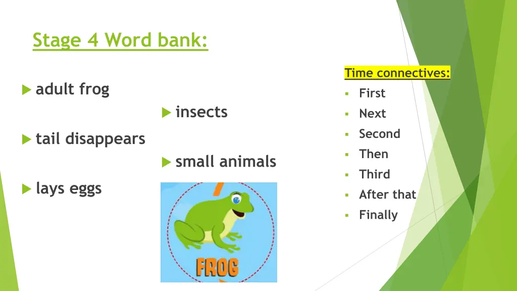 stage 4 word bank