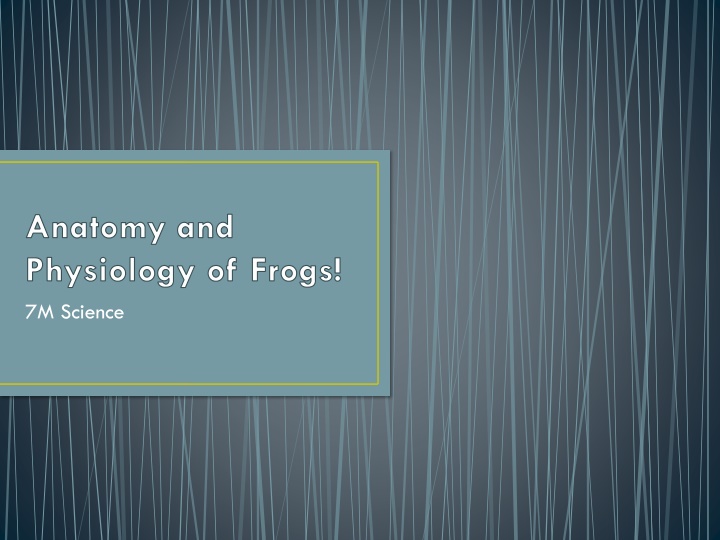 anatomy and physiology of frogs 7m science