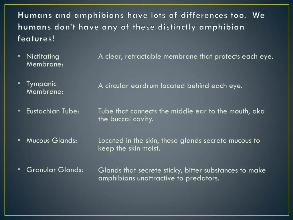 humans and amphibians have lots of differences