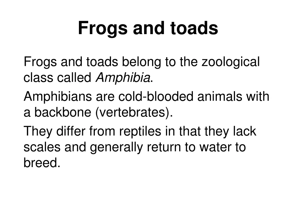 frogs and toads 1