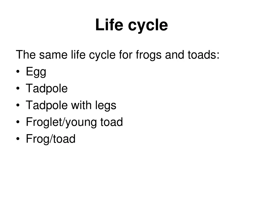 life cycle