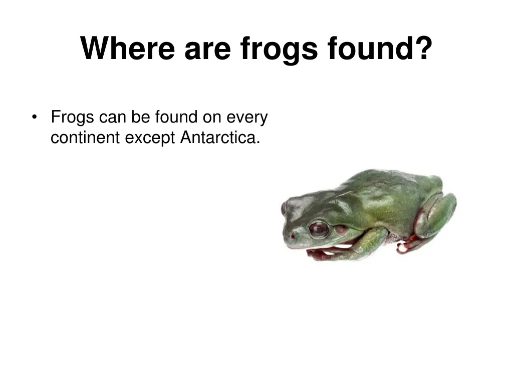 where are frogs found