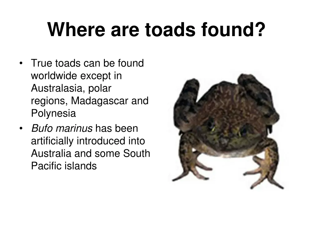 where are toads found