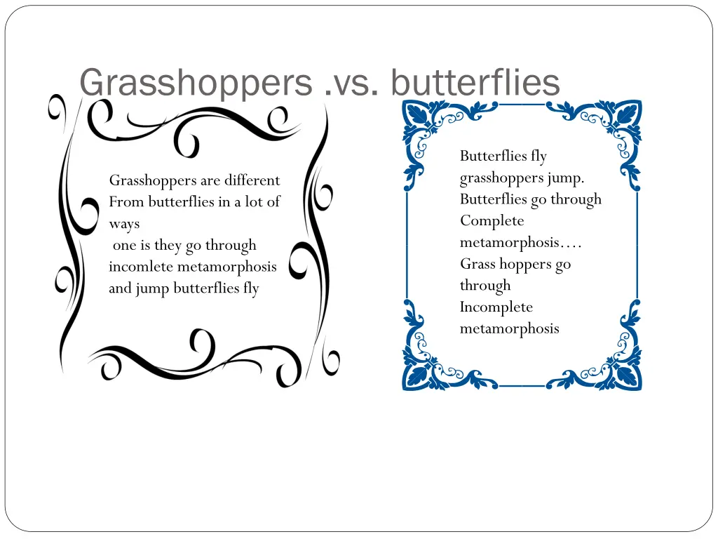 grasshoppers vs butterflies