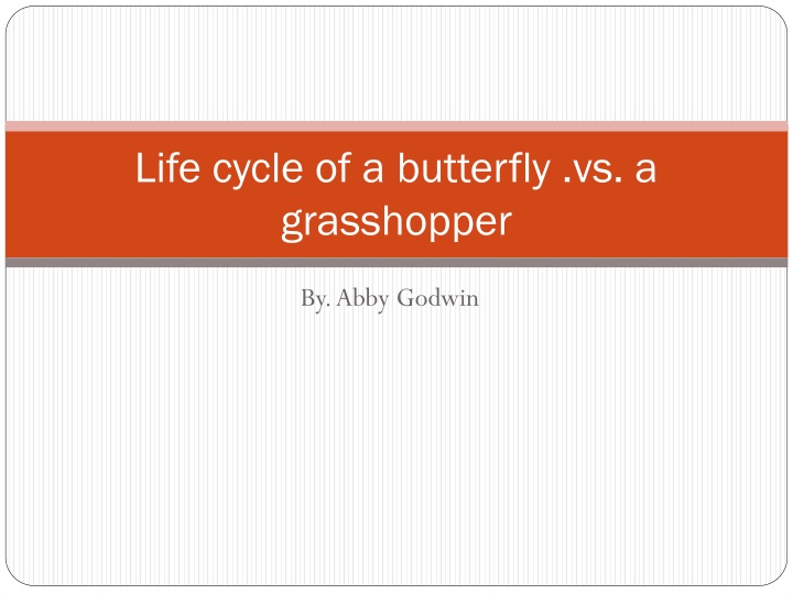 life cycle of a butterfly vs a grasshopper