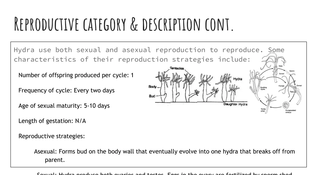 reproductive category description cont