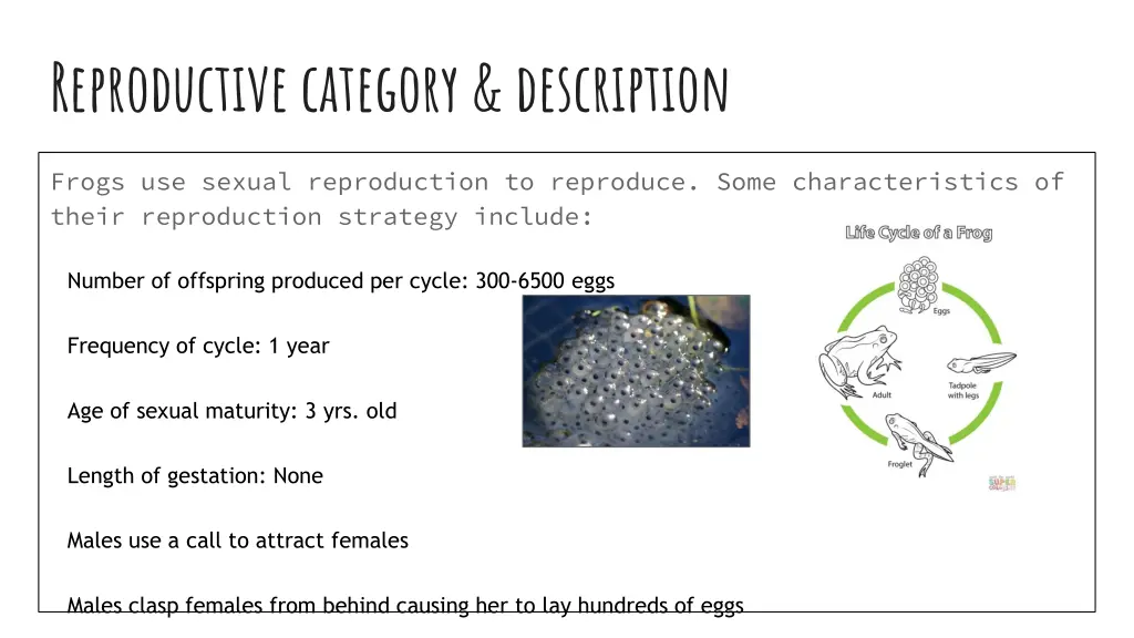 reproductive category description