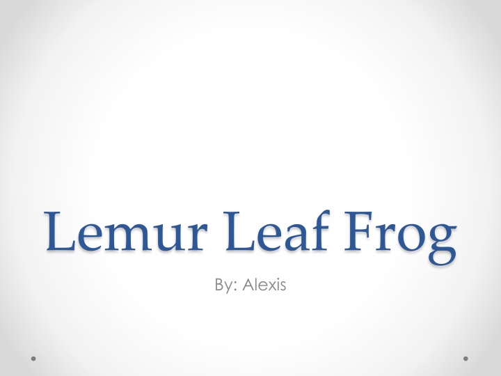 lemur leaf frog by alexis