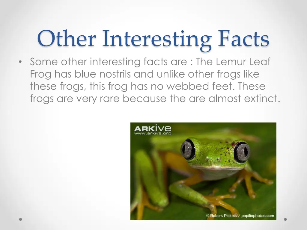 other interesting facts some other interesting