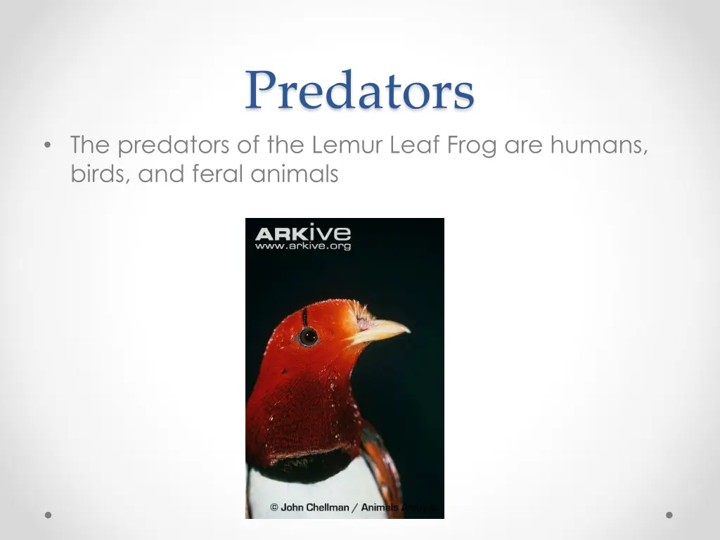 predators