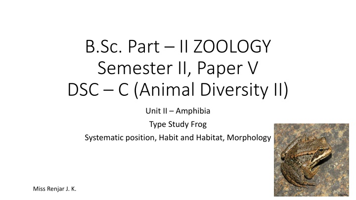 b sc part ii zoology semester ii paper