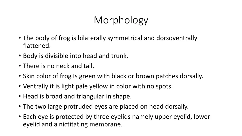 morphology