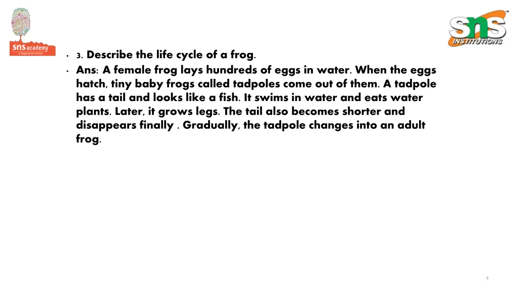 3 describe the life cycle of a frog