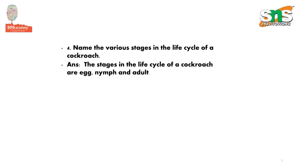 4 name the various stages in the life cycle