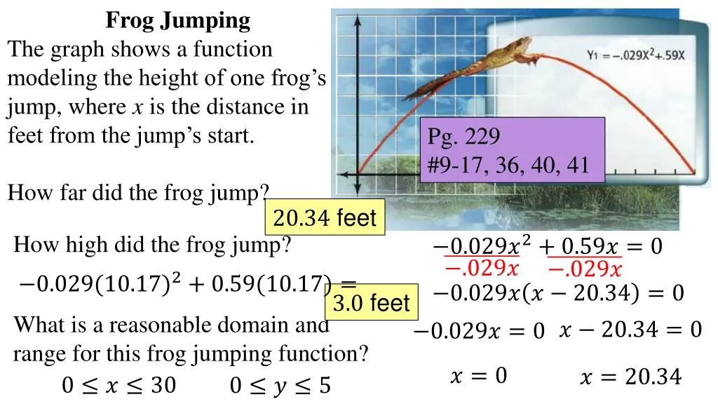 frog jumping