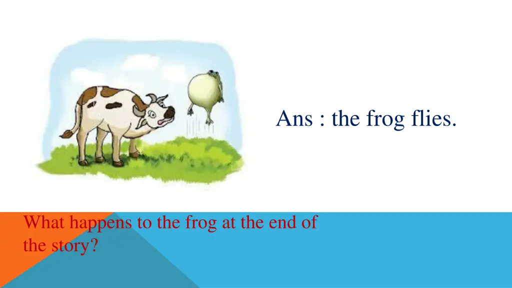 ans the frog flies