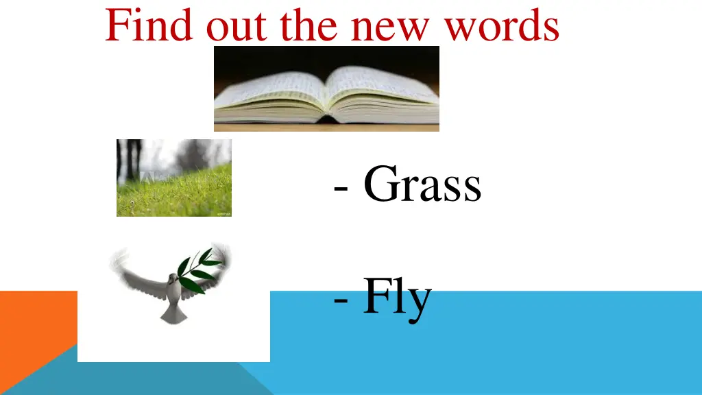 find out the new words