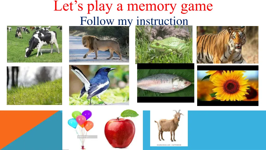 let s play a memory game follow my instruction