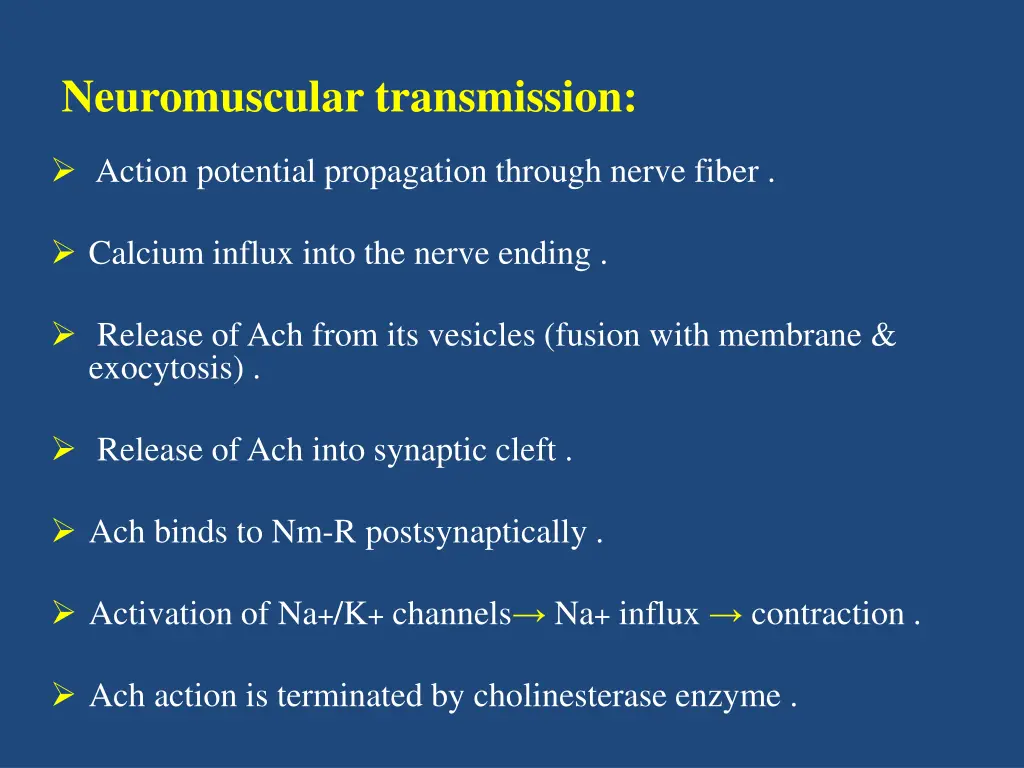 neuromuscular transmission