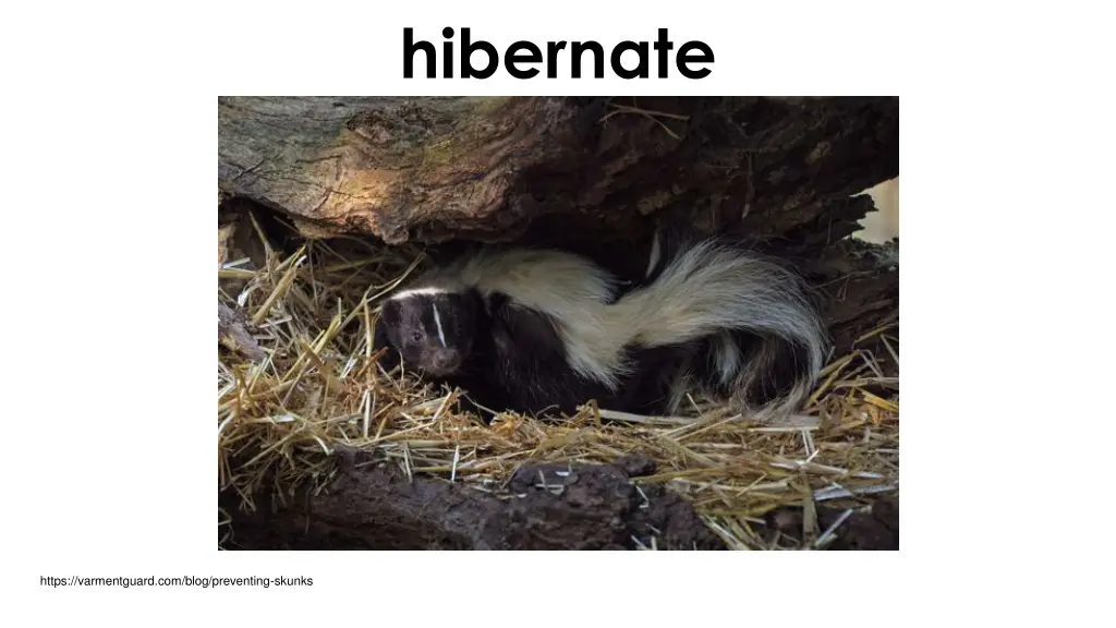 hibernate 1