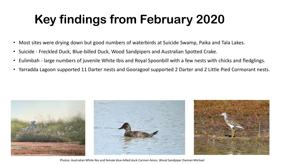 key findings from february 2020