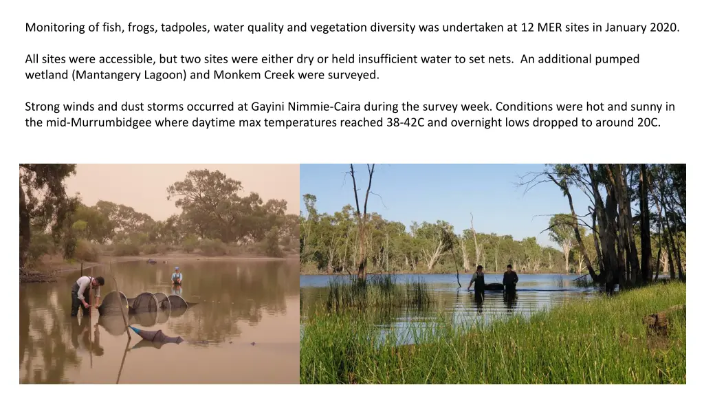 monitoring of fish frogs tadpoles water quality