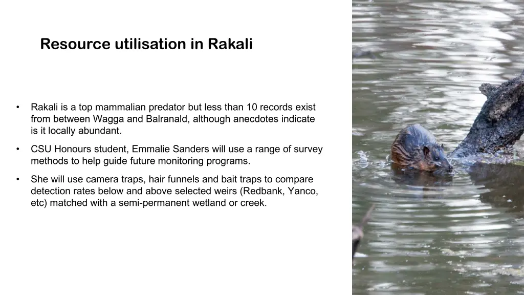 resource utilisation in rakali