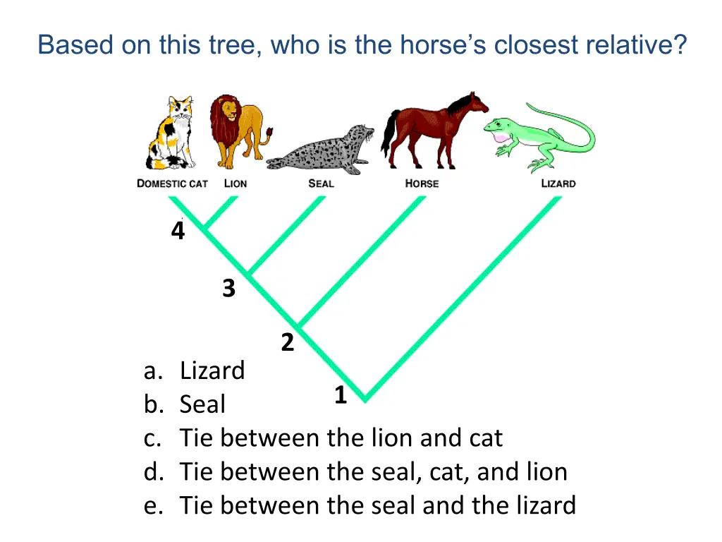 based on this tree who is the horse s closest