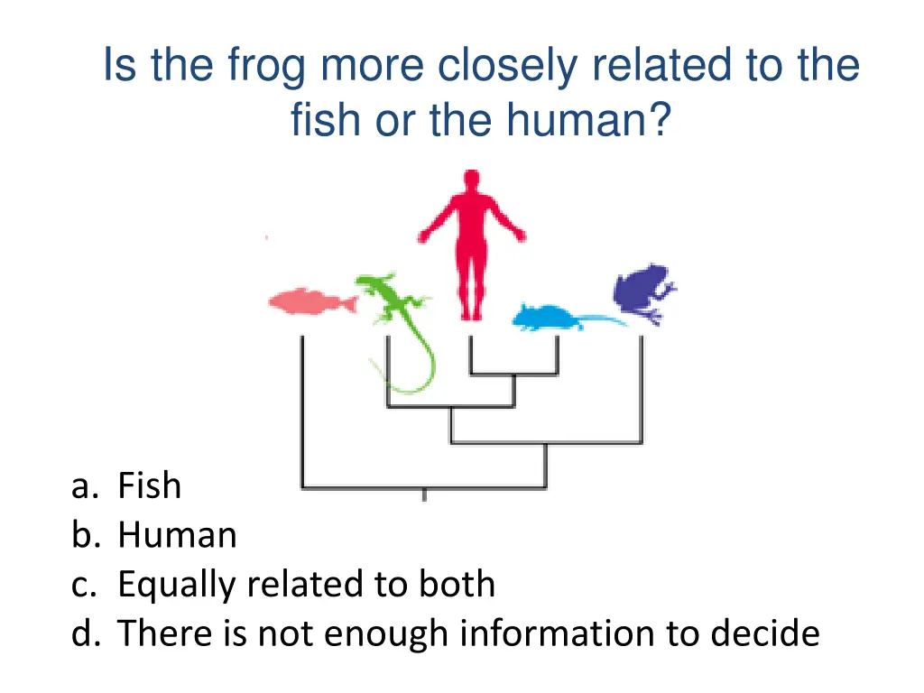 is the frog more closely related to the fish 1