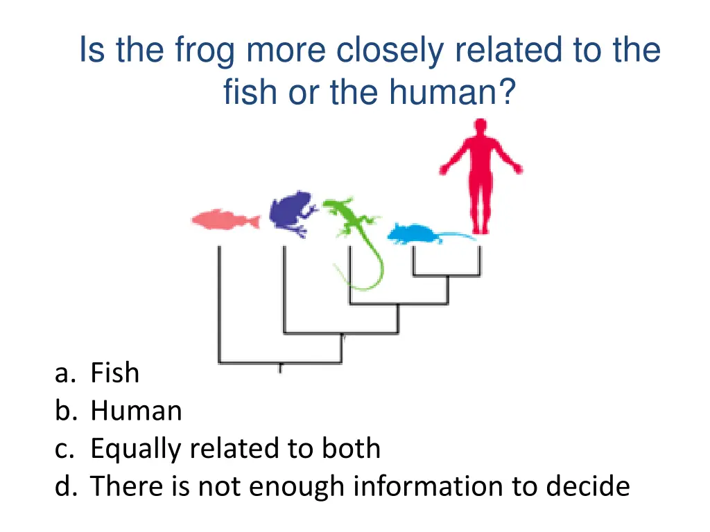 is the frog more closely related to the fish