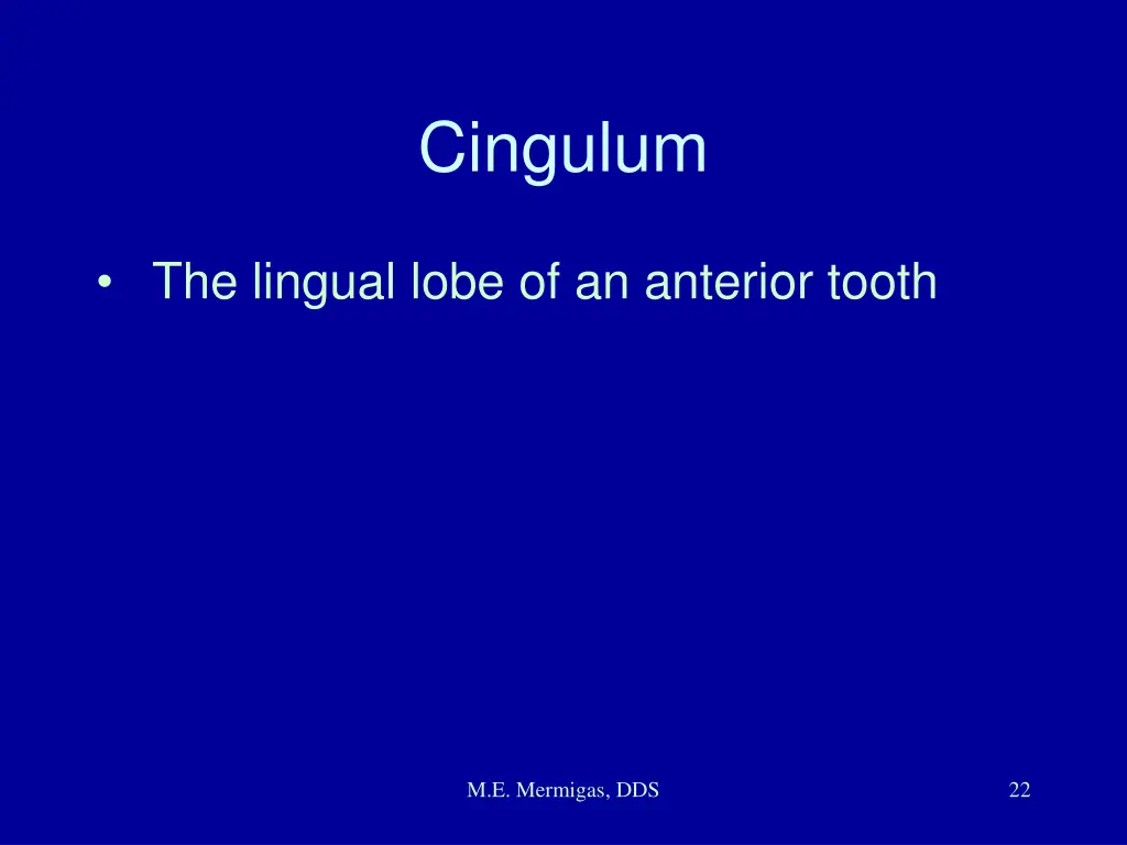 cingulum