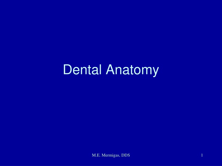 dental anatomy